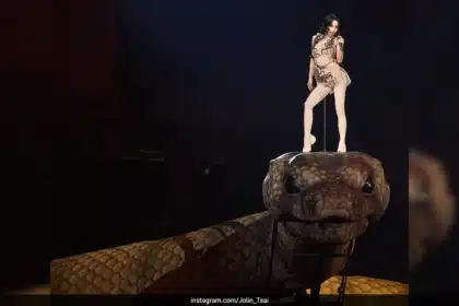 Jolin Tsai Giant Snake Concert