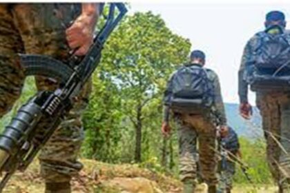 Saranda Forest Encounter