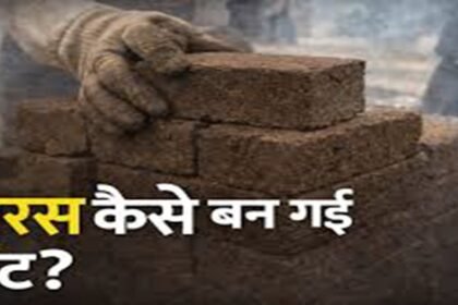 Motihari Charas Case