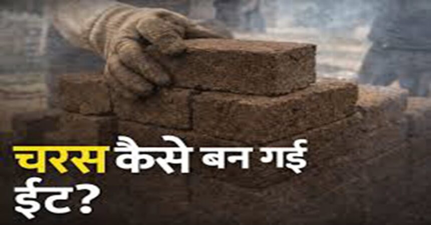 Motihari Charas Case