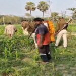 Saharsa Missing Girls News